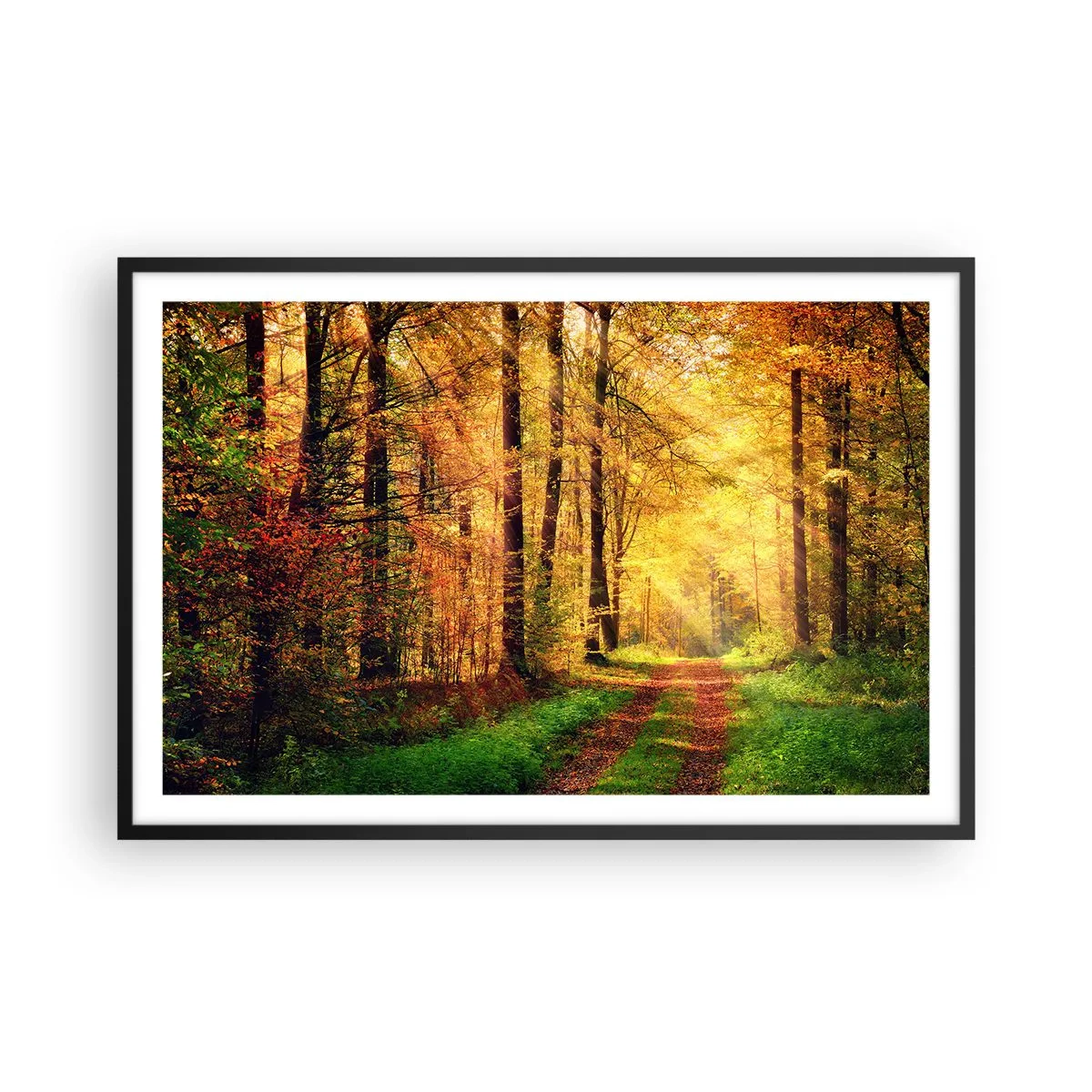 Plakat i sort ramme - Skovgylden stilhed - 91x61 cm