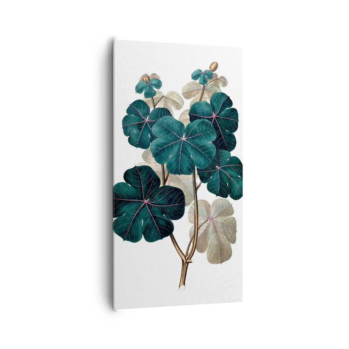 Lærredstryk - Billede på lærred - Fra et gammelt herbarium - 65x120 cm