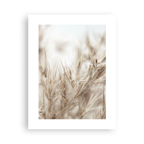 Plakat - Eng og vind - 30x40 cm