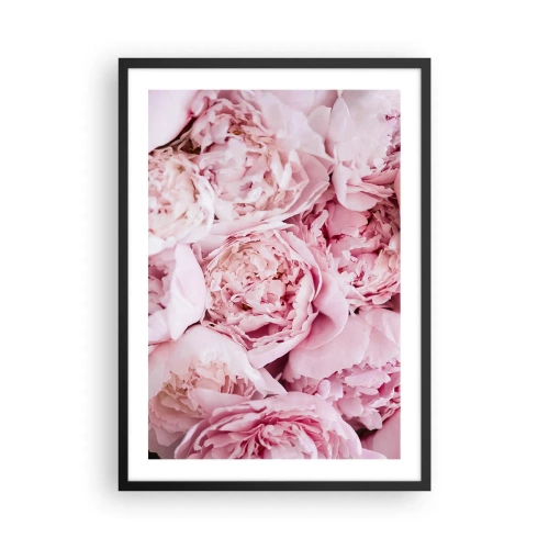 Plakat i sort ramme - Et nærbillede af sarte lyserøde pæoner i fuldt flor - 50x70cm - Hyggeligt og velduftende - Moderne vægdekoration til stue og soveværelse ARTTOR