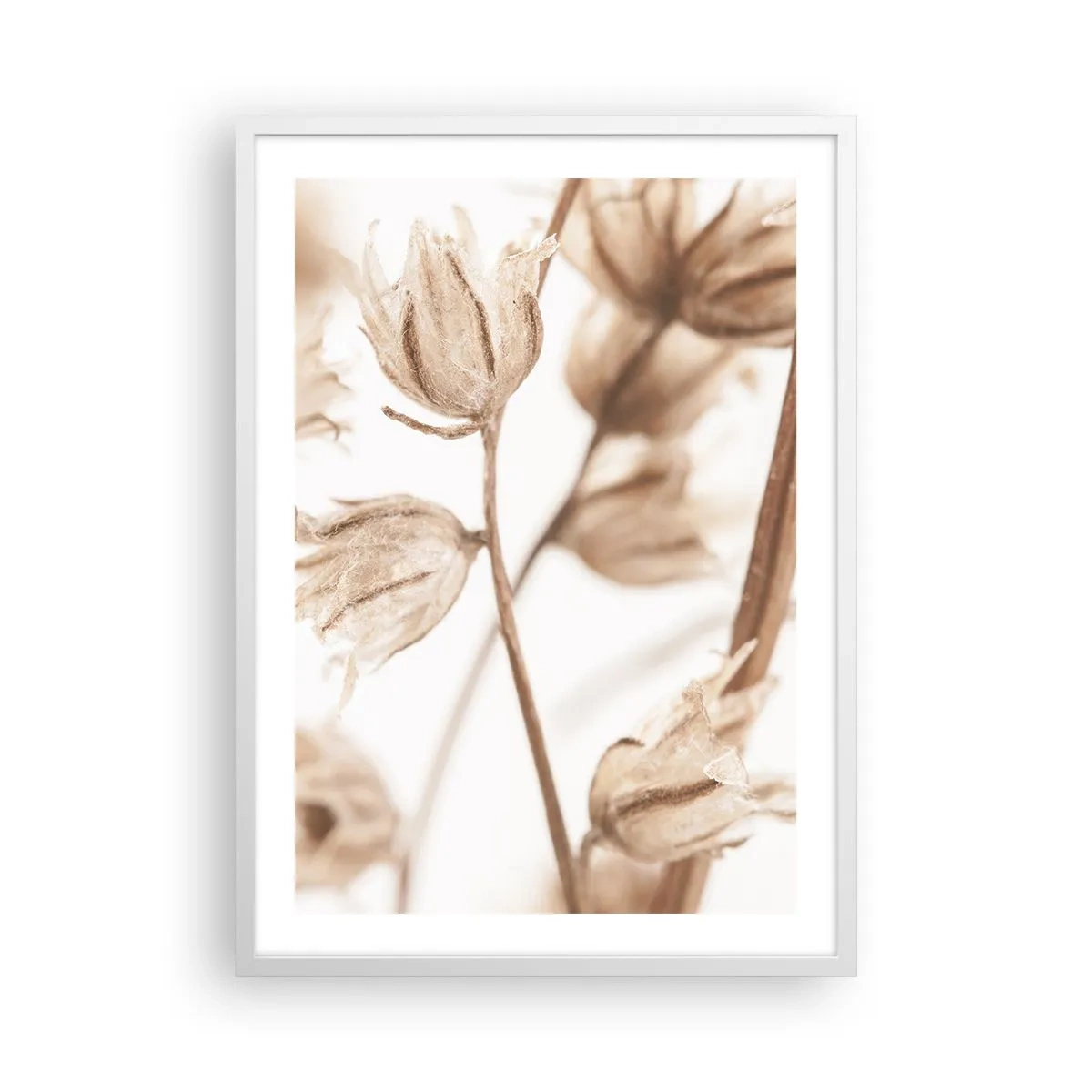 Plakat i hvid ramme - De kalder på slutningen af sommeren - 50x70 cm