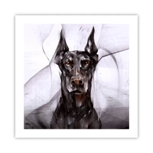 Plakat - Nobelt født - 50x50 cm