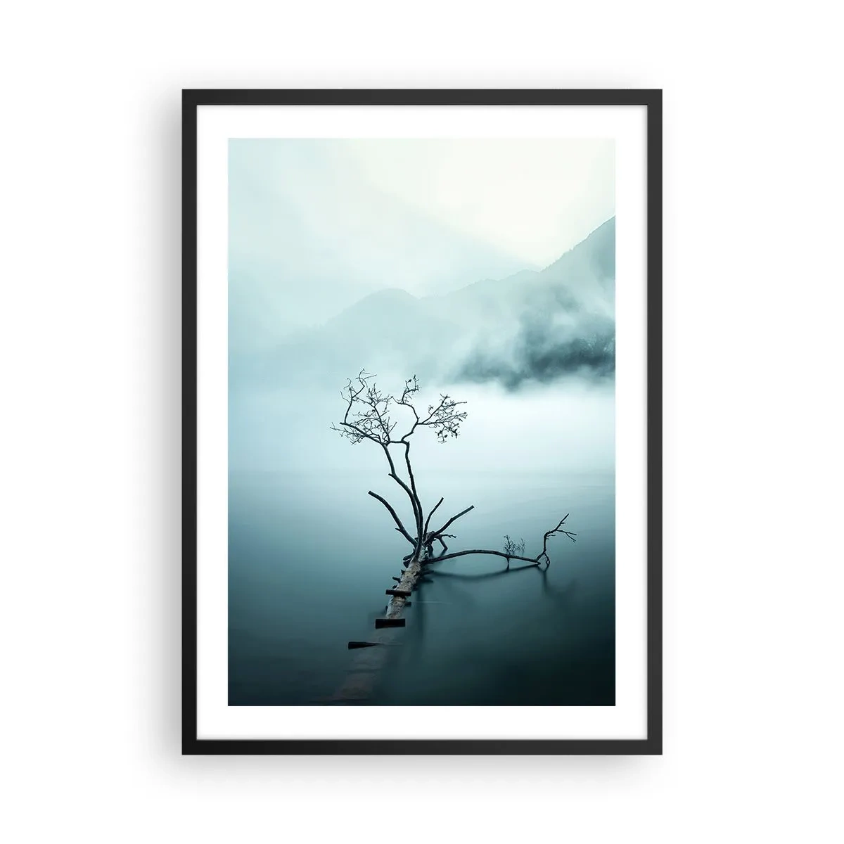 Plakat i sort ramme - Et fotografi af et ensomt træ, der vokser op af vandet, omgivet af tåge og bjerge. - 50x70cm - Ud af vand og tåge - Moderne vægdekoration til stue og soveværelse ARTTOR