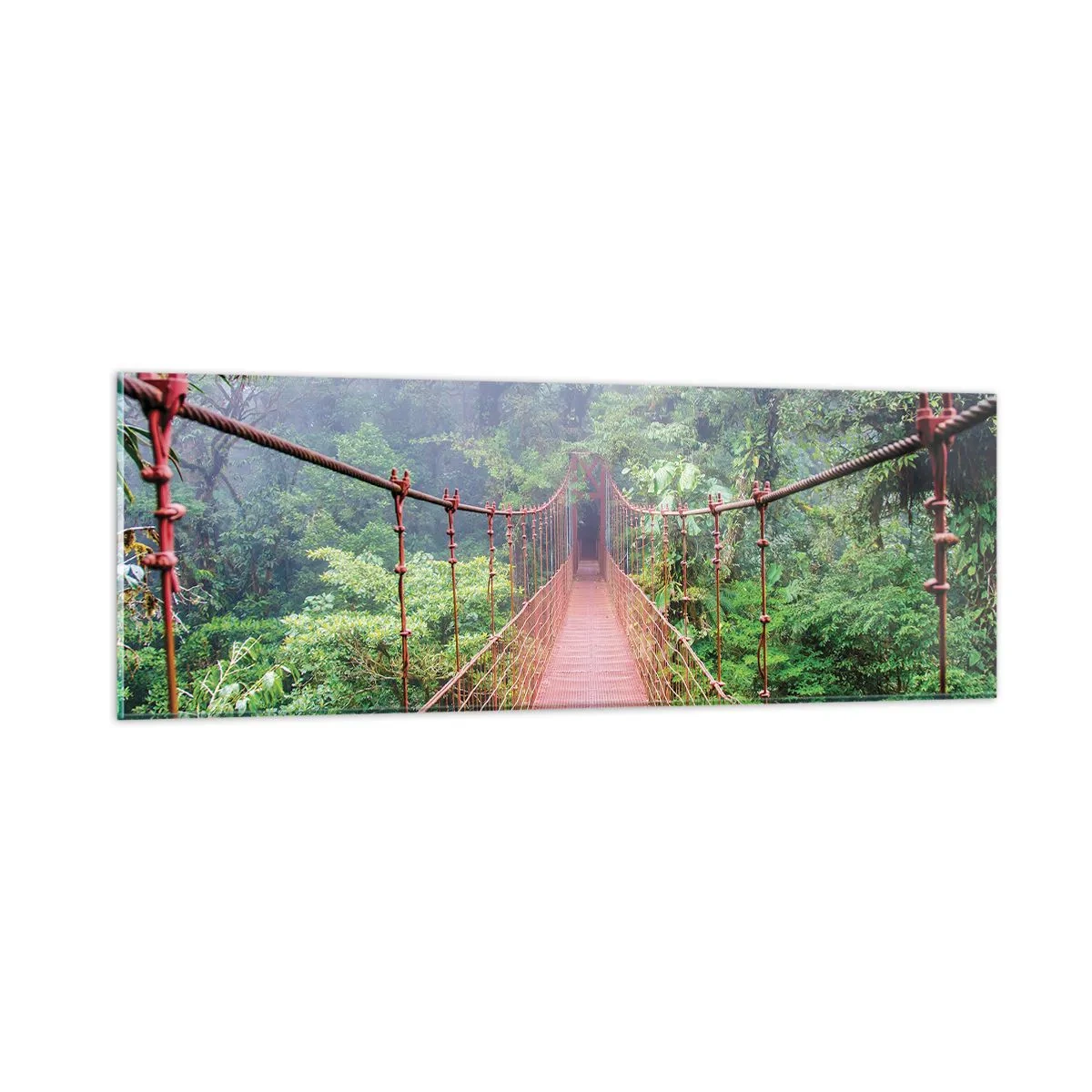 Billede på glas - Ophængt over kronerne - 90x30 cm