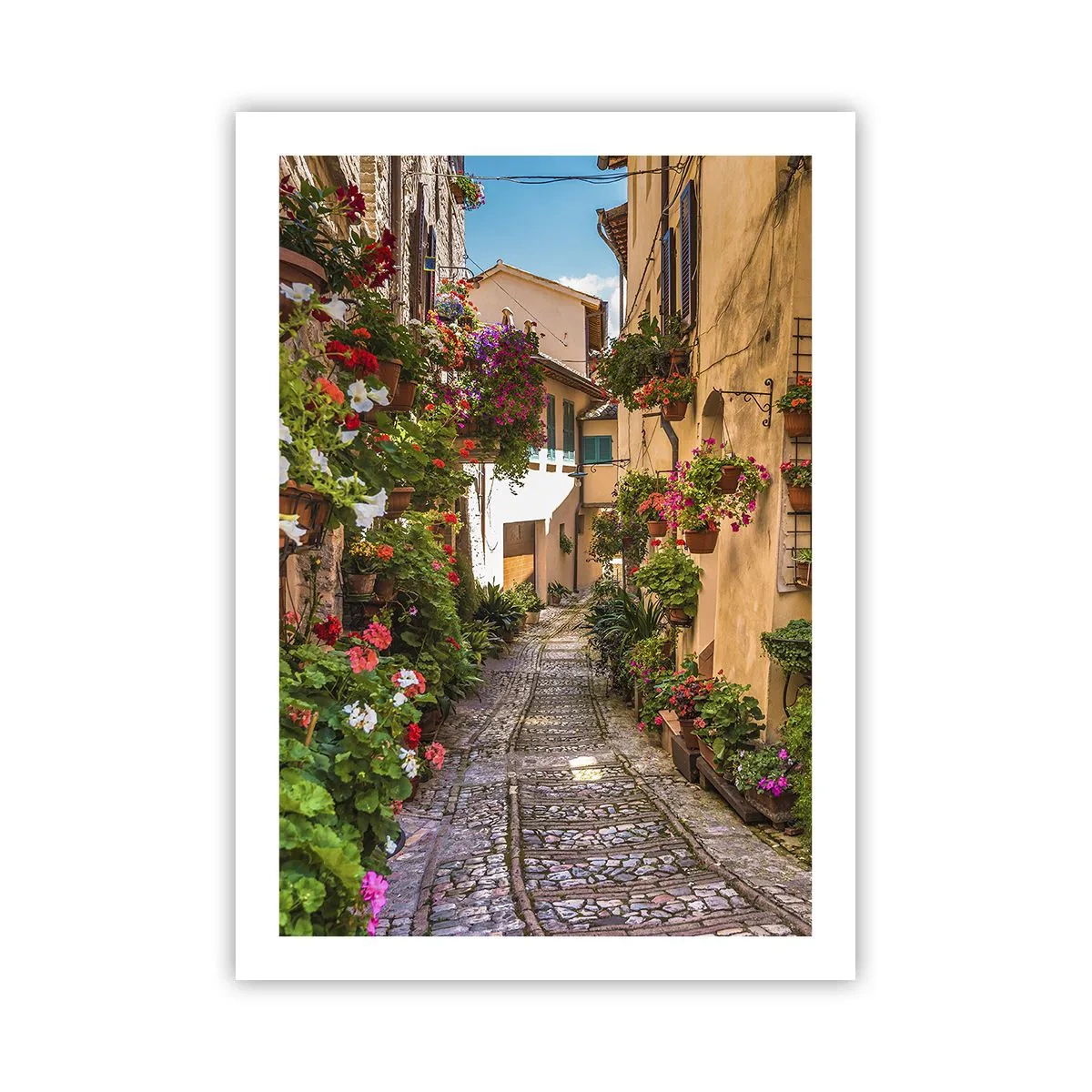 Plakat - Italiensk gyde - 50x70 cm