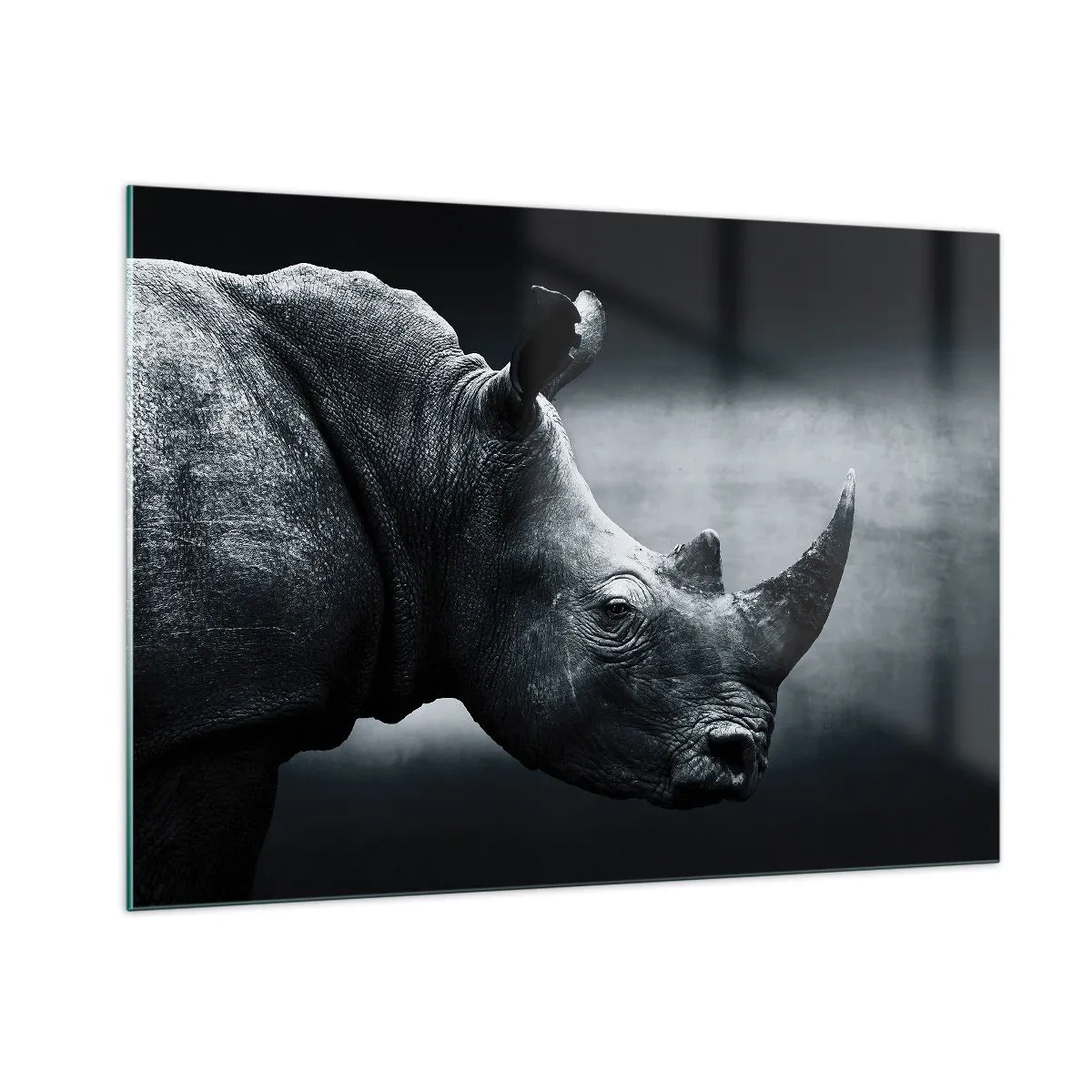 Billede på glas - Højre profil - 100x70 cm