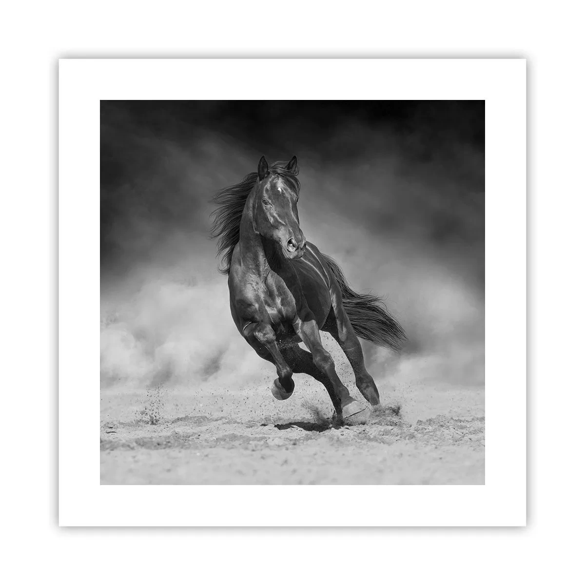Plakat - Værdig til emiren selv - 40x40 cm