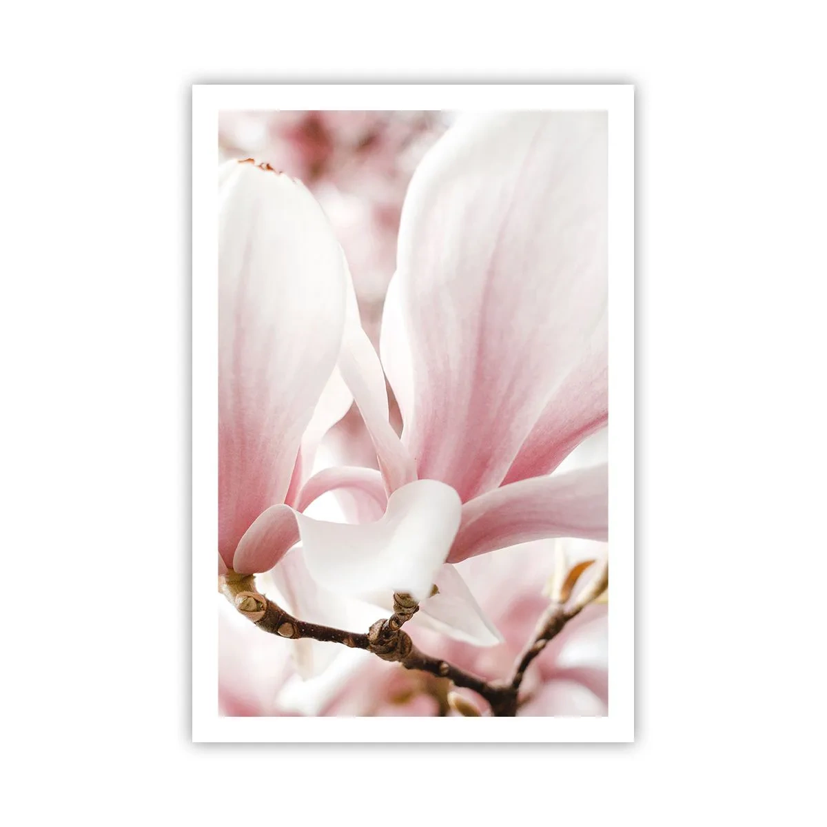 Plakat - Ømhedens umådelighed - 61x91 cm