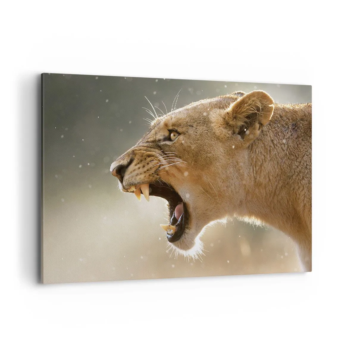 Lærredstryk - Billede på lærred - Prøv ikke at lytte - 100x70 cm