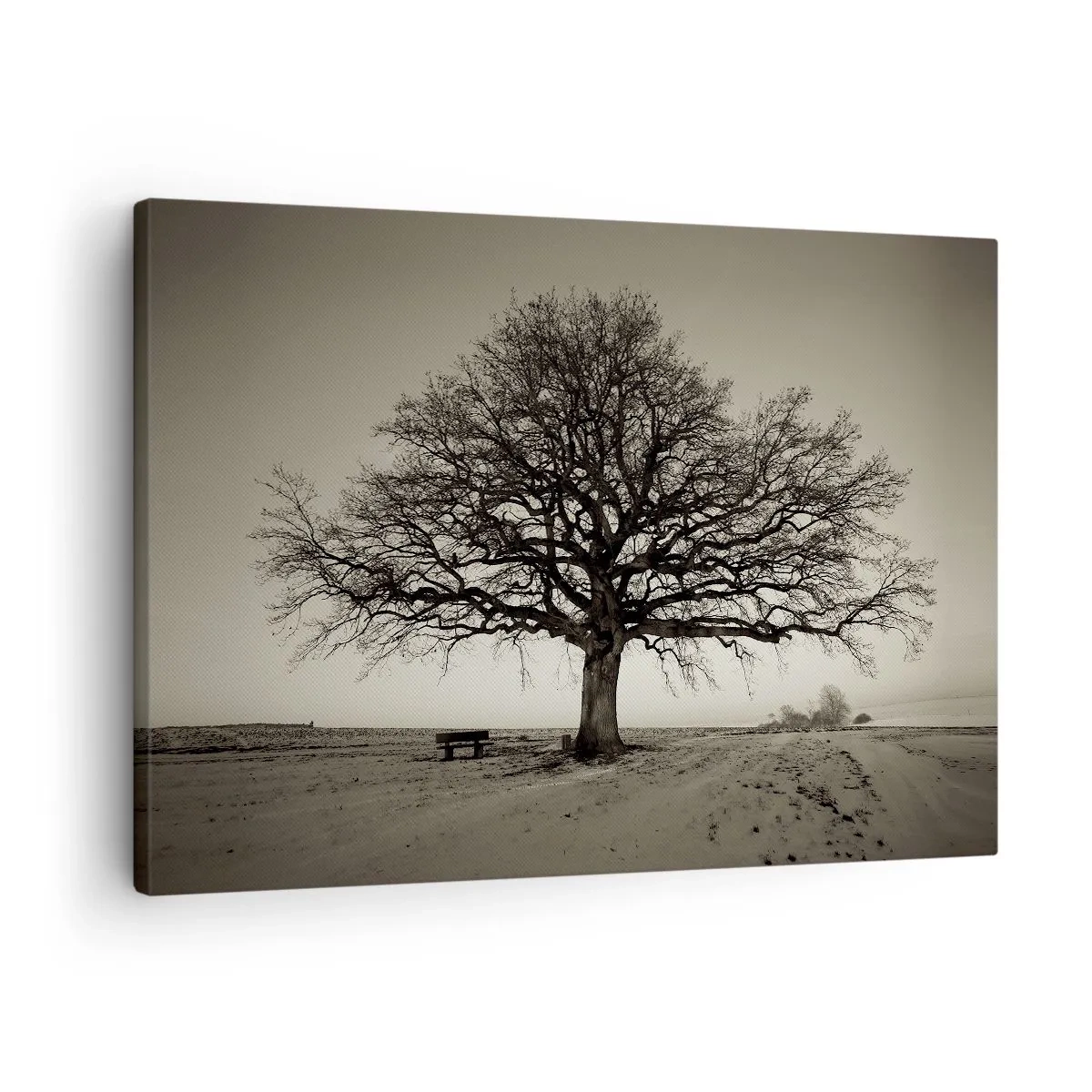 Lærredstryk - Billede på lærred - Et ensomt træ i en sepiamark - 70x50cm - Herfra og til evigheden - Moderne vægdekoration til stue og soveværelse ARTTOR