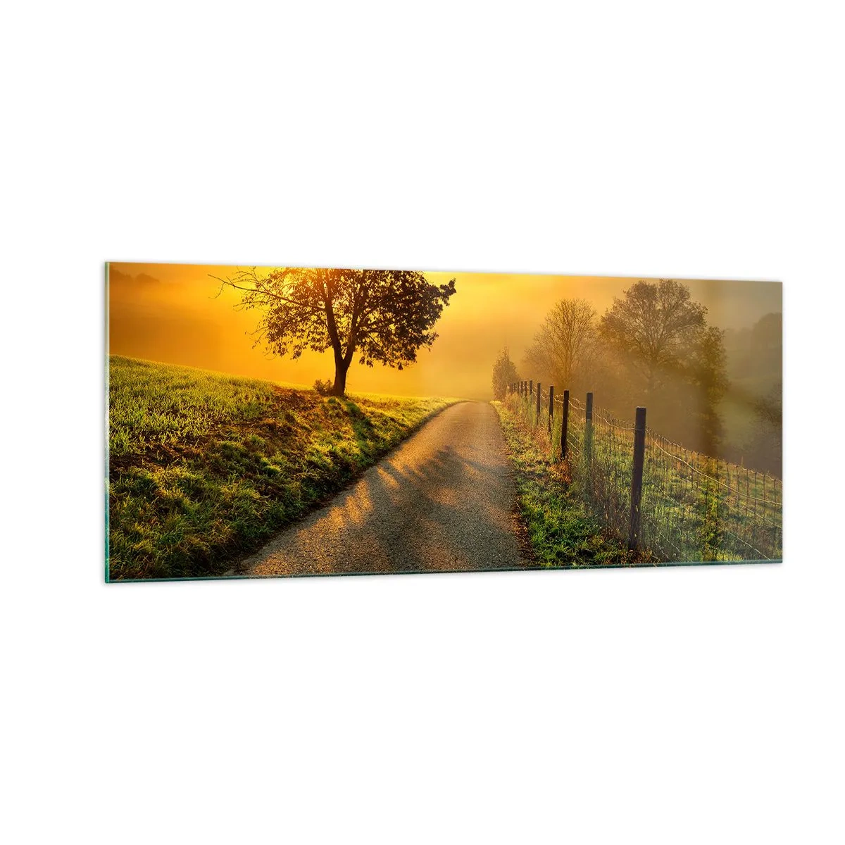 Billede på glas - Kære eftermiddag - 100x40 cm