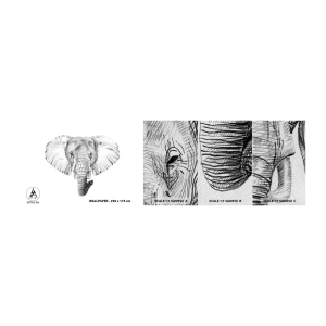 Prøve Fototapet Premium Sand - "Der var en elefant, stor som - en elefant". - Dyr, Elefant, Grafik - 100x30 cm
