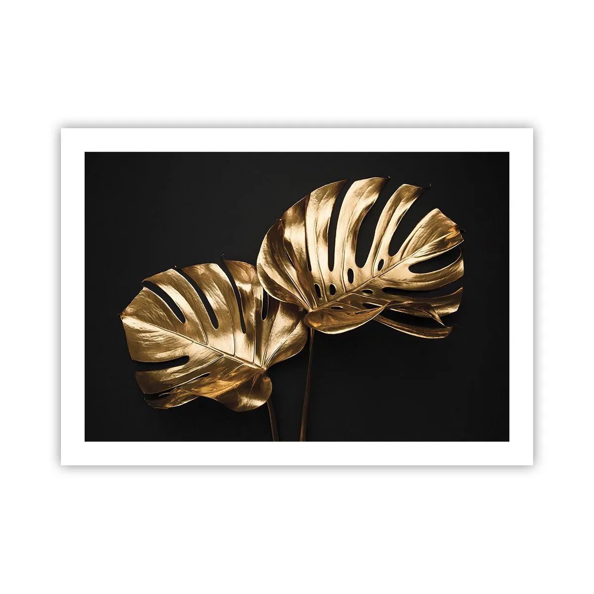 Plakat - Naturens skatte - 70x50 cm