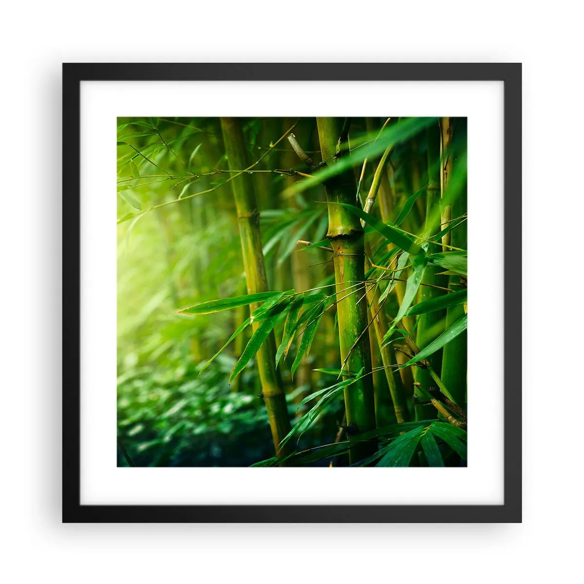 Plakat i sort ramme - Lær selve det grønne at kende - 40x40 cm