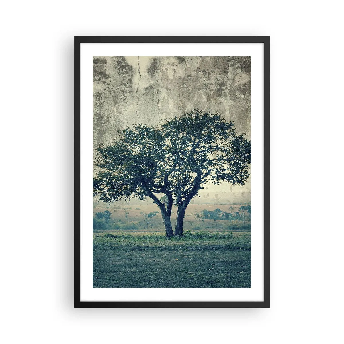 Plakat i sort ramme - Et ensomt træ i et rustikt landskab - 50x70cm - Et æbletræ på en blå membran? - Moderne vægdekoration til stue og soveværelse ARTTOR