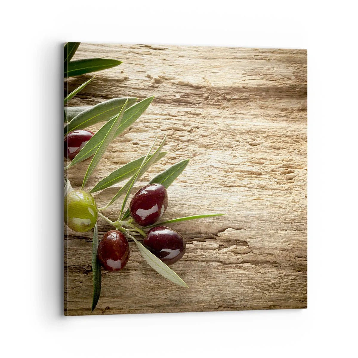 Lærredstryk - Billede på lærred - Lige fra naturen - 70x70 cm