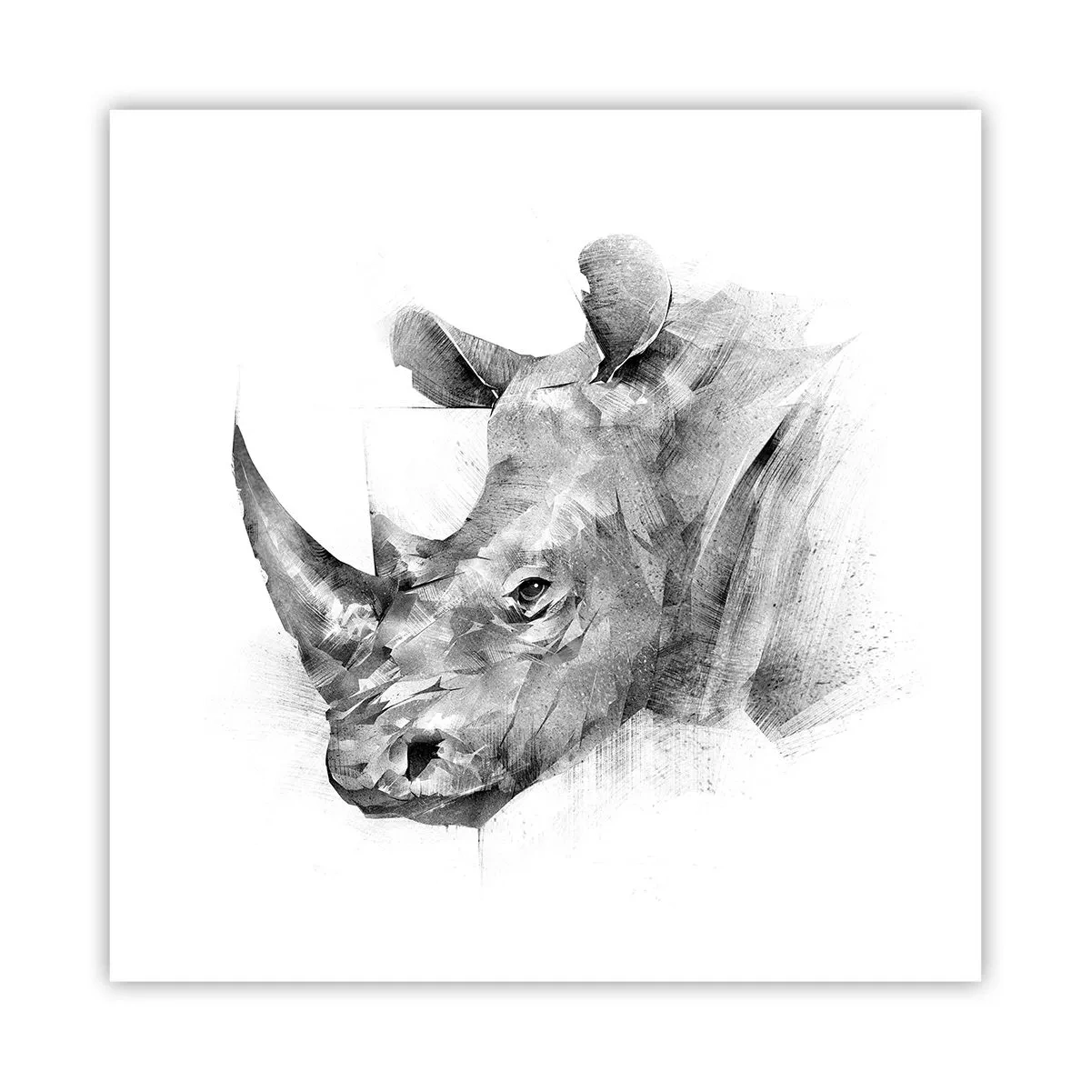 Plakat - Afrikansk portræt - 60x60 cm