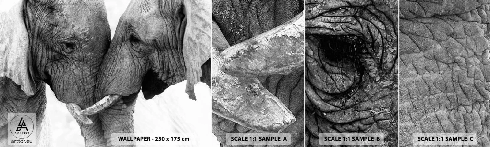 Fototapet Prøve Standard Eco - Hjertelig tilståelse - Elefant, Dyr, Afrika - 100x30 cm