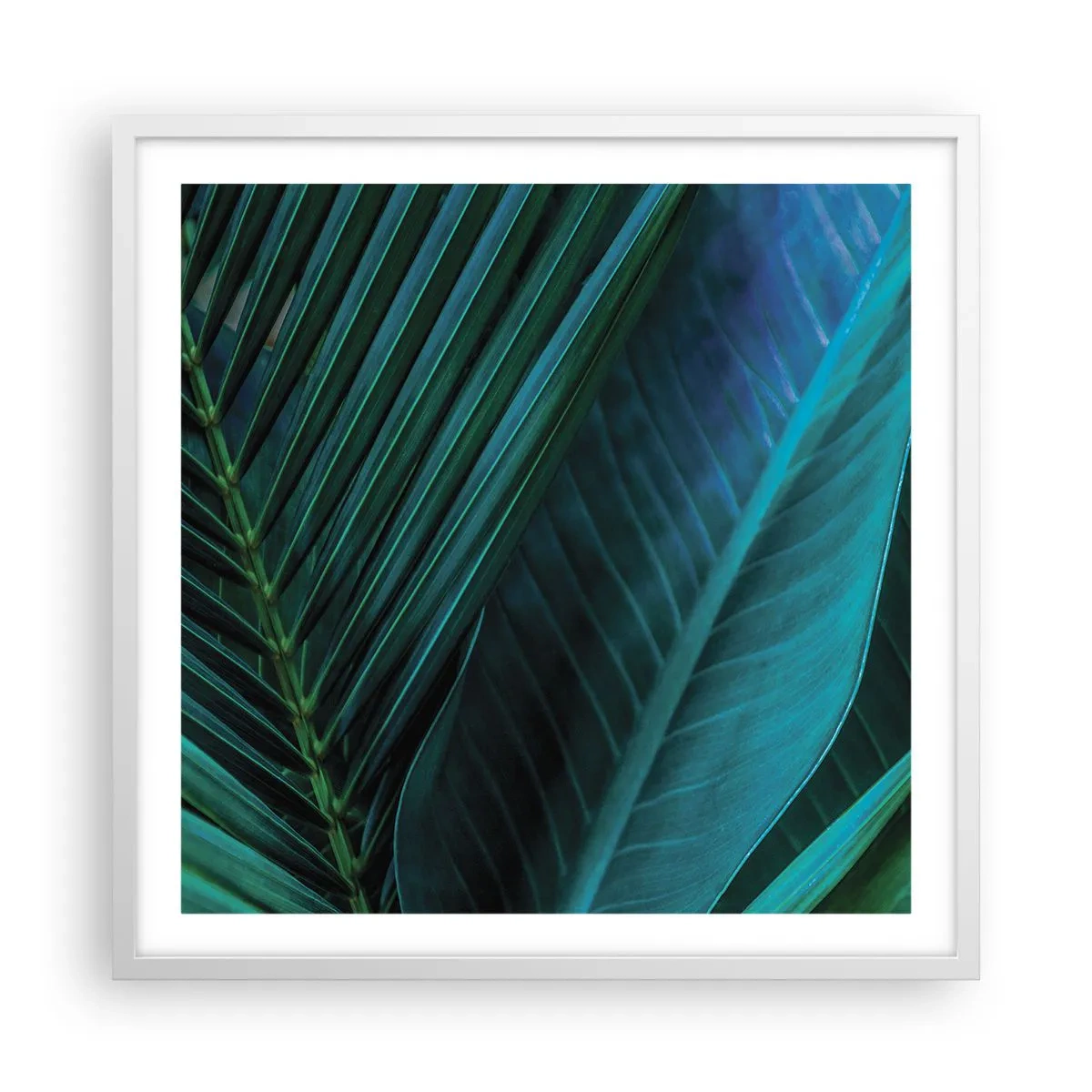 Plakat i hvid ramme - Anatomi af en grøn - 60x60 cm