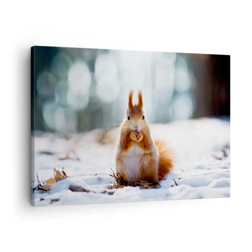 Lærredstryk - Billede på lærred - Et egern i et vinterlandskab - 70x50cm - Og hvad kigger du på? - Moderne vægdekoration til stue og soveværelse ARTTOR
