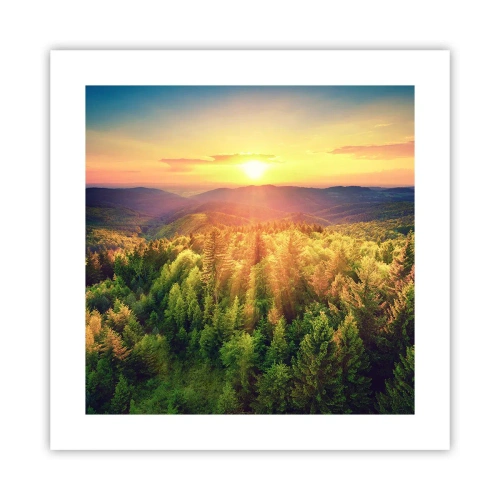 Plakat - Toppe og bjergtoppe - 40x40 cm