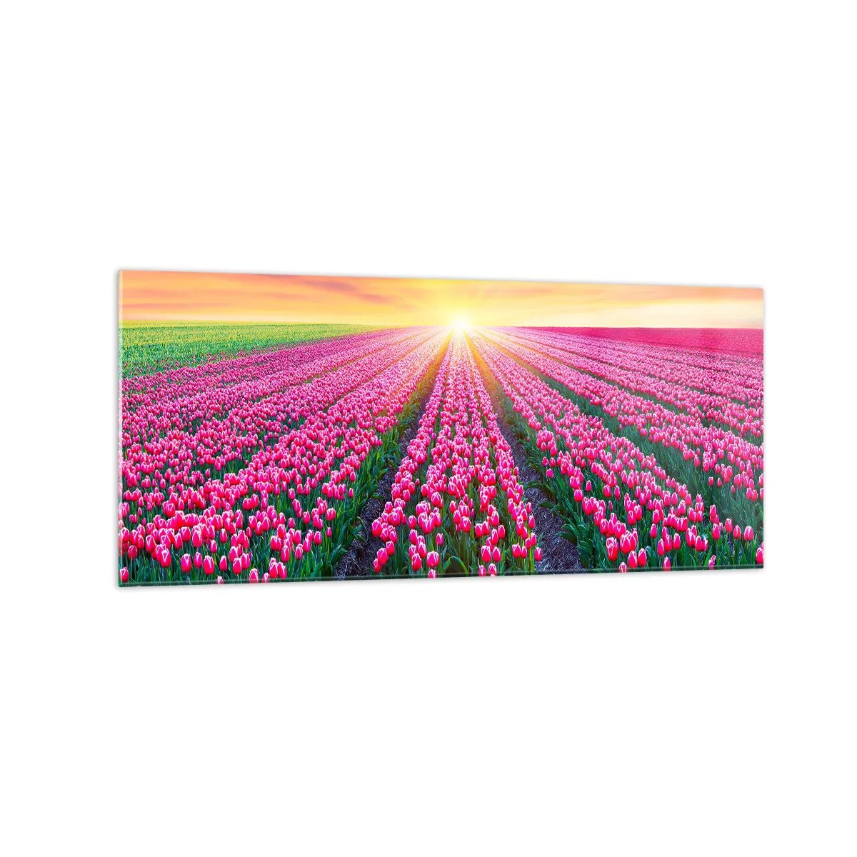 Billede på glas - Skønhedsfarm - 120x50 cm