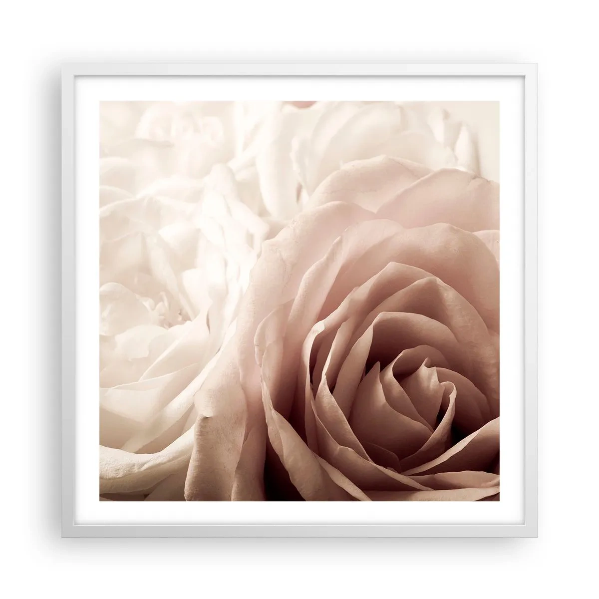 Plakat i hvid ramme - I rosens hjerte - 60x60 cm