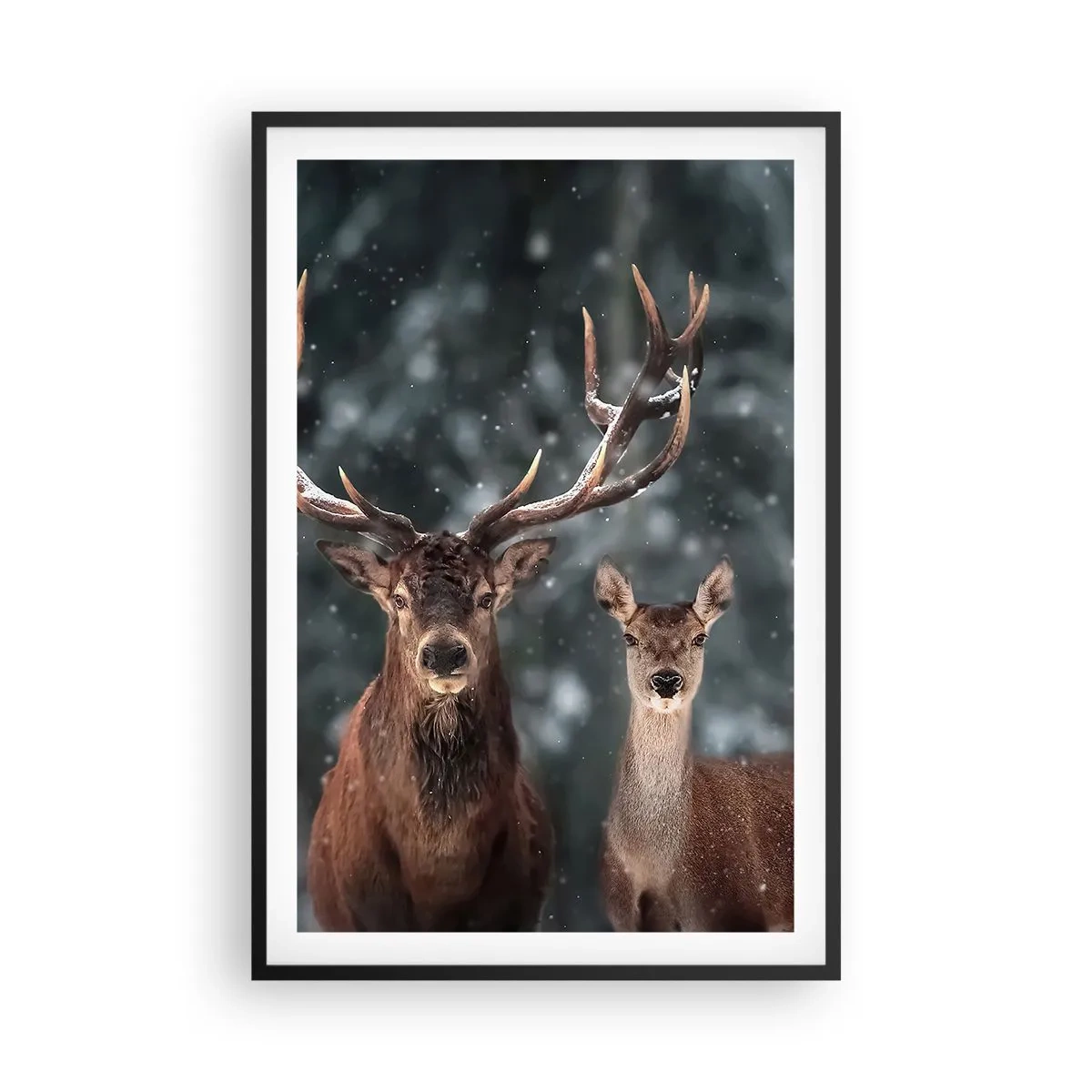 Plakat i sort ramme - Skovens herre og hans kone - 61x91 cm