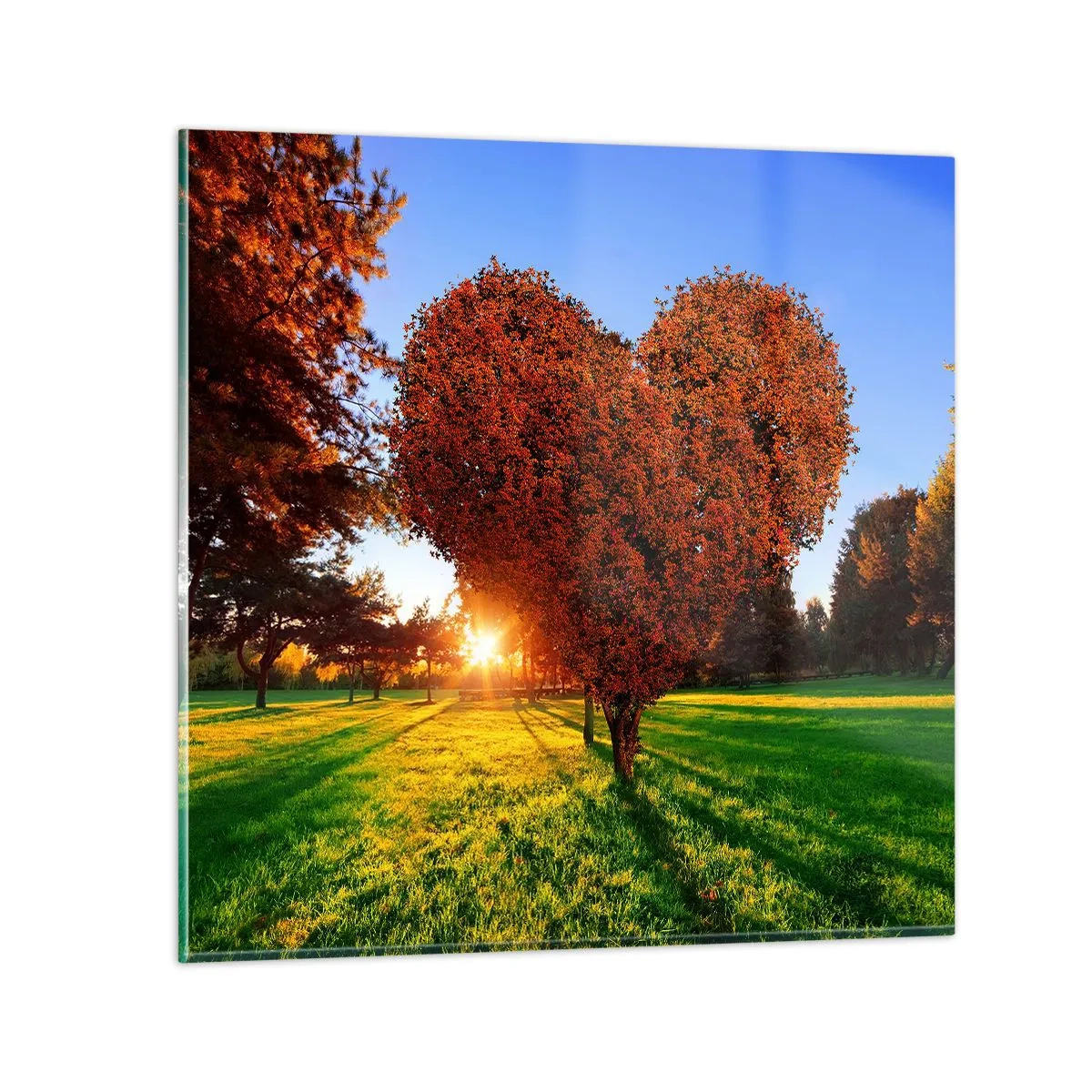 Billede på glas - Og hvordan man ikke kan elske efteråret - 60x60 cm