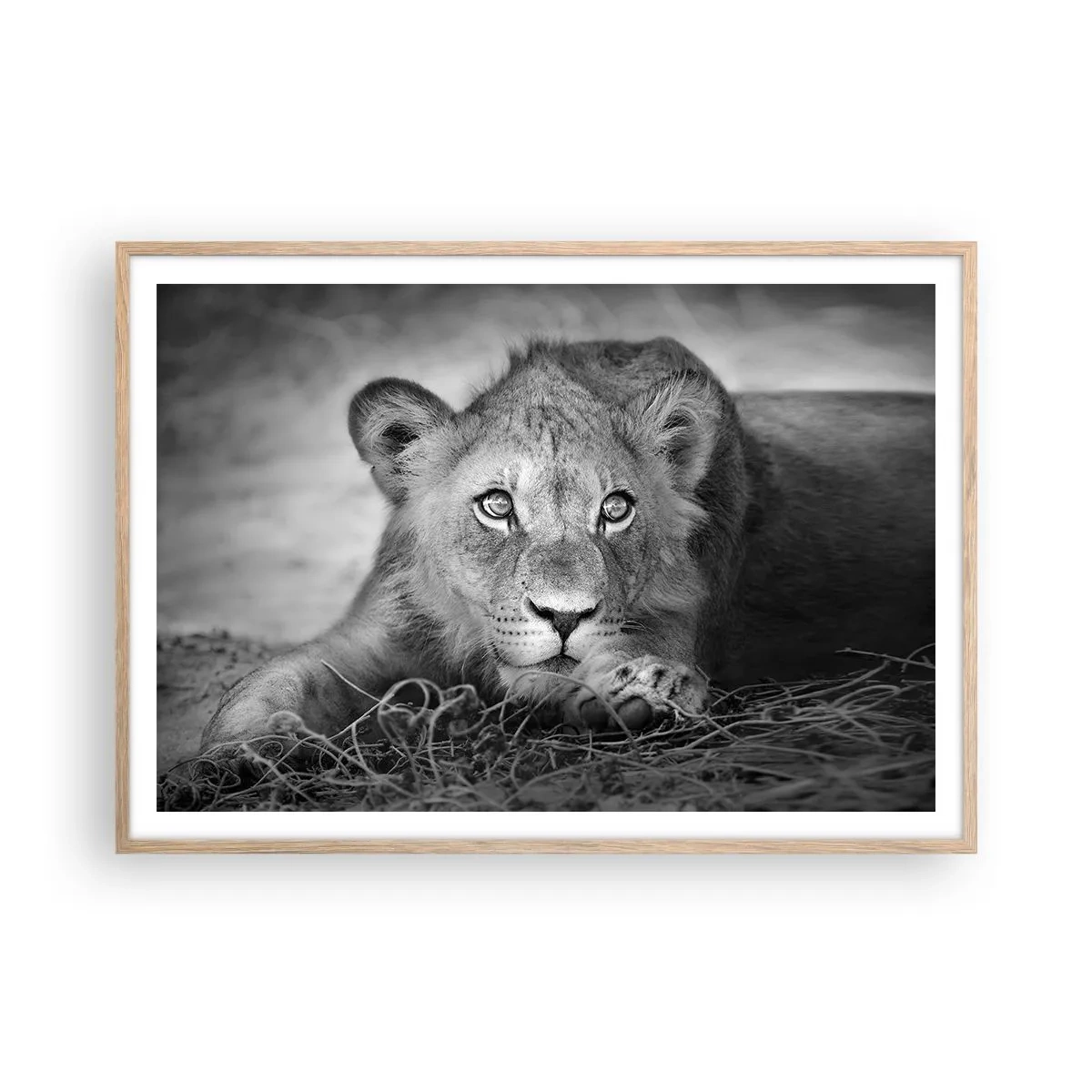 Plakat i ramme af lyst egetræ - Kongelig hvalp - 100x70 cm