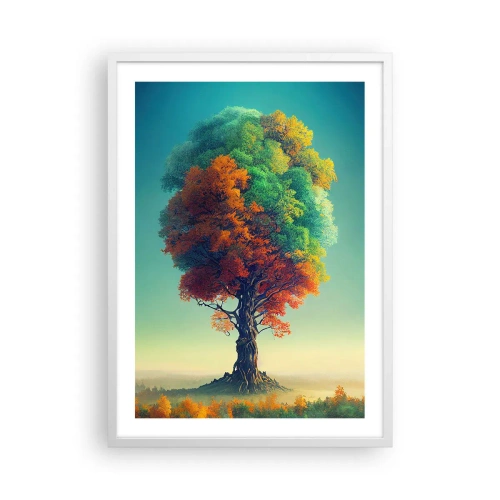 Plakat i hvid ramme - Eg - naturens fader - 50x70 cm