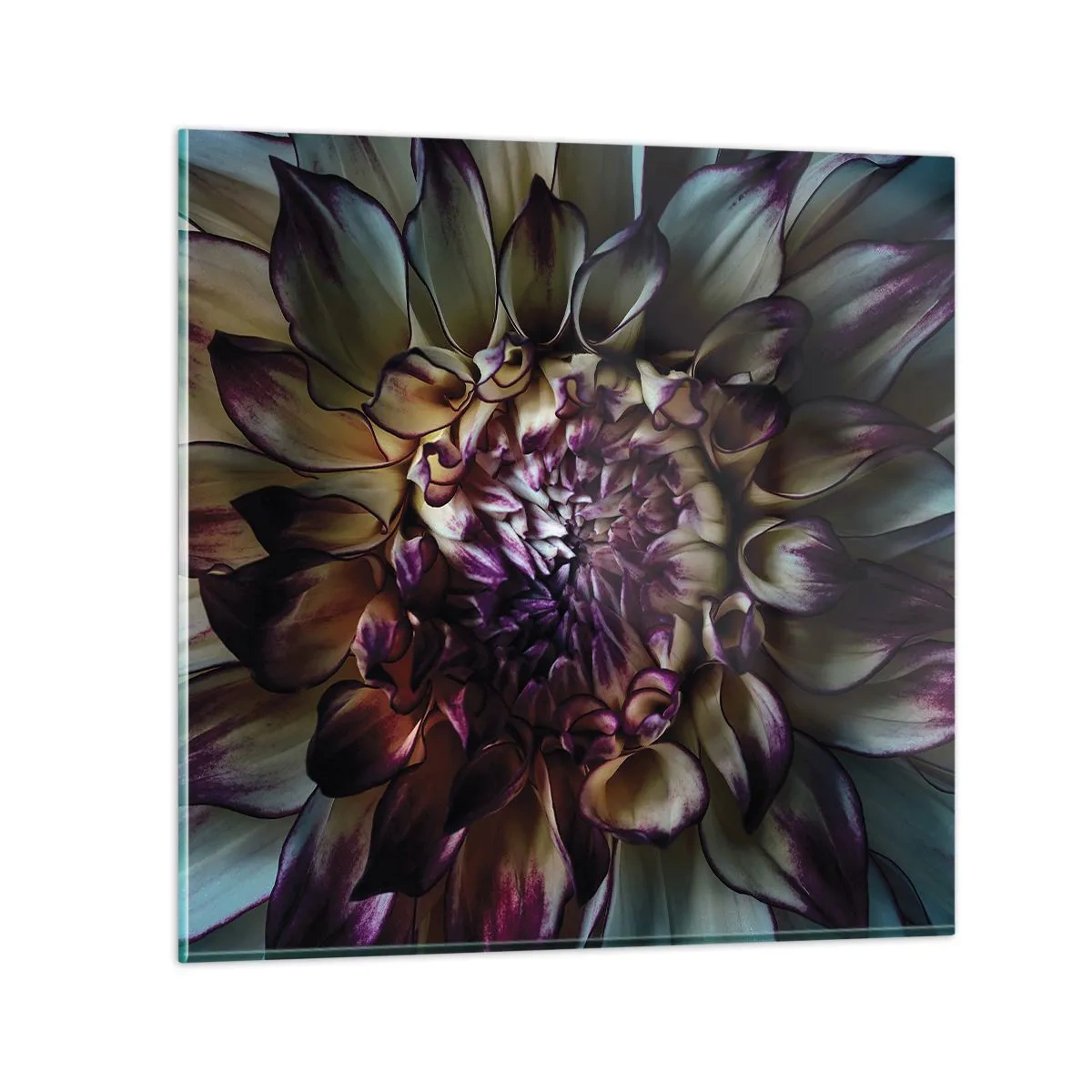 Billede på glas - Ungdommens blomstring - 50x50 cm