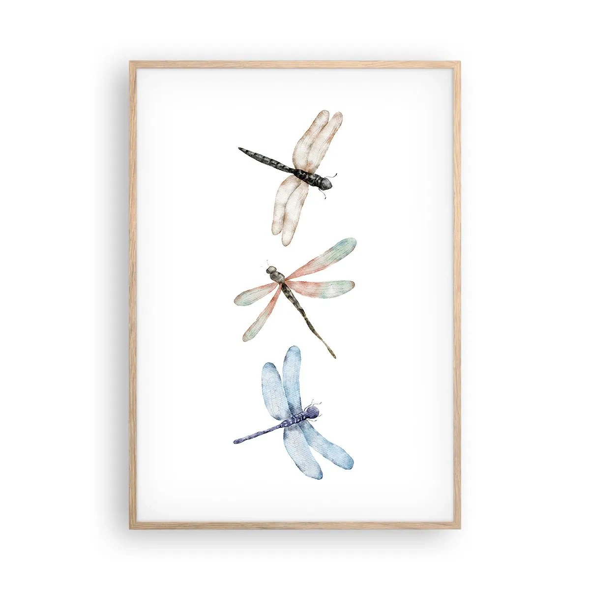 Plakat i ramme af lyst egetræ - Vægtløse guldsmede - 70x100 cm