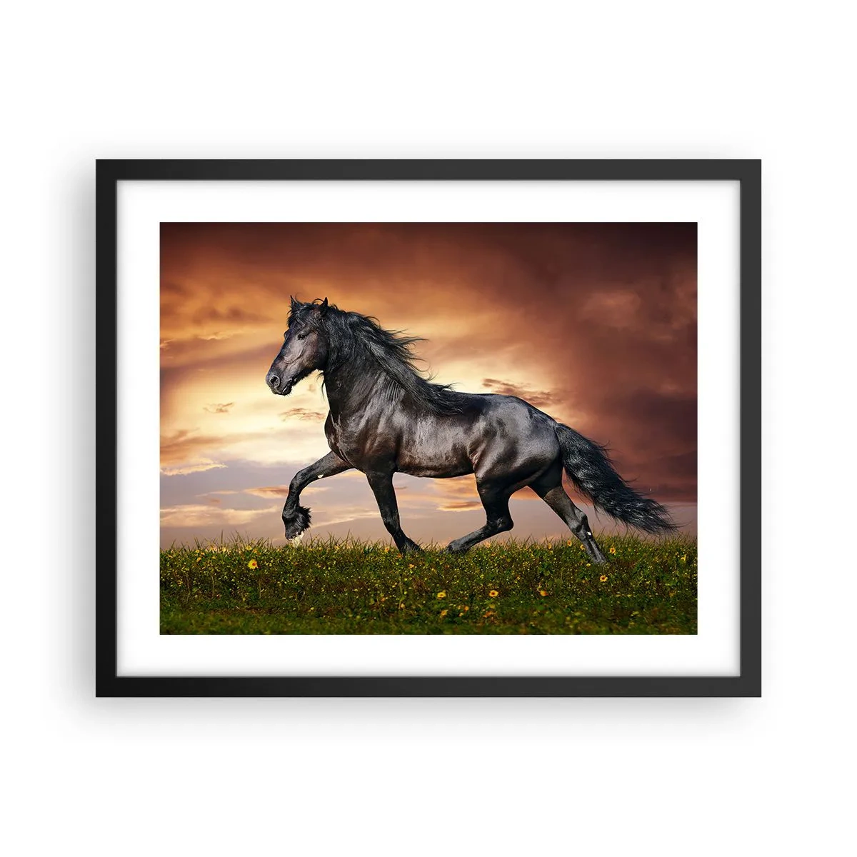 Plakat i sort ramme - Sort prins - 50x40 cm