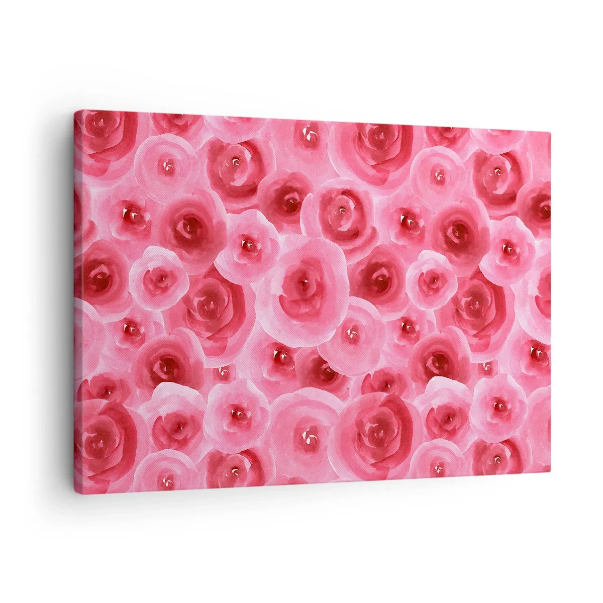 Lærredstryk - Billede på lærred - Fine roser i pastelfarvede lyserøde nuancer - 70x50cm - Roser under og over - Moderne vægdekoration til stue og soveværelse ARTTOR