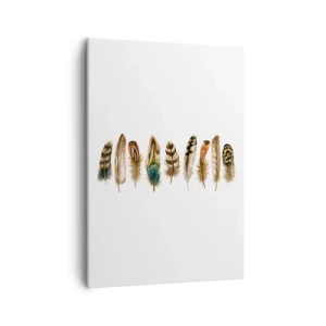 Lærredstryk - Billede på lærred - Variation med fjer - 50x70 cm
