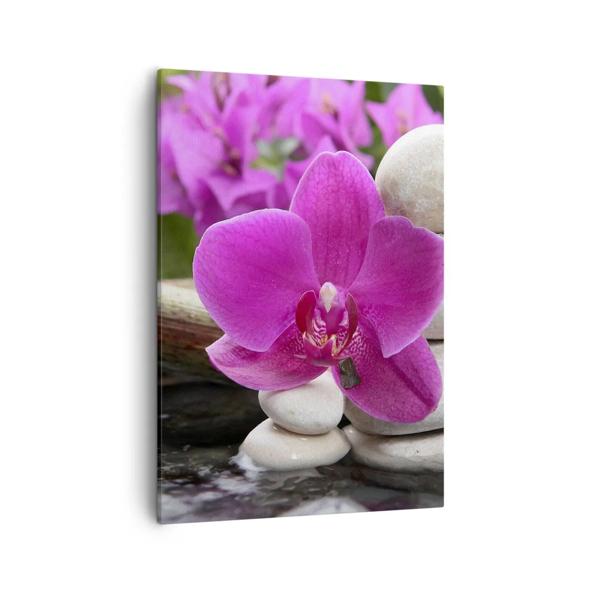 Lærredstryk - Billede på lærred - Du hviler allerede - 50x70 cm