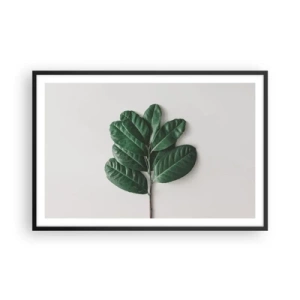 Plakat i sort ramme - Tegning af selve naturen - 91x61 cm