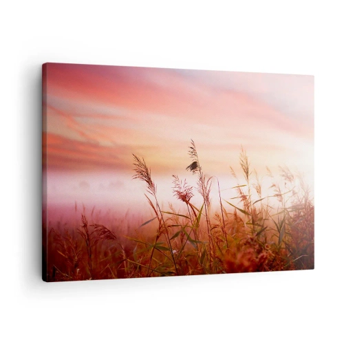 Lærredstryk - Billede på lærred - En græsmark mod en malerisk solnedgangs baggrund - 70x50cm - Drager, blæsere, vind - Moderne vægdekoration til stue og soveværelse ARTTOR
