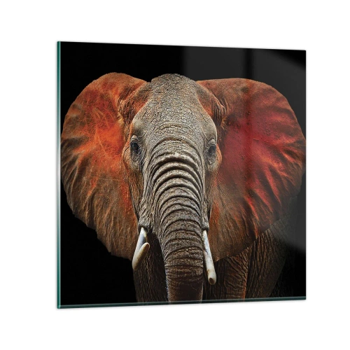 Billede på glas - Jeg er vild, er du? - 70x70 cm