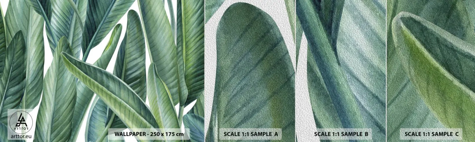 Prøve Fototapet Premium Sand - Det grønne i sig selv - Grønne blade, Tropisk plante, Natur - 100x30 cm