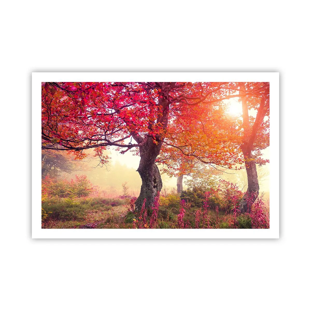 Plakat - Et væld af blomstring - 91x61 cm