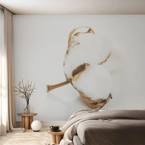 Fototapet Premium Sand - Blød af natur - Bomuld, Minimalistisk, Blomst - 100x70 cm