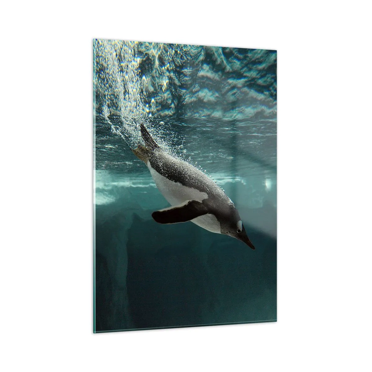 Billede på glas - Velkommen til min verden - 50x70 cm