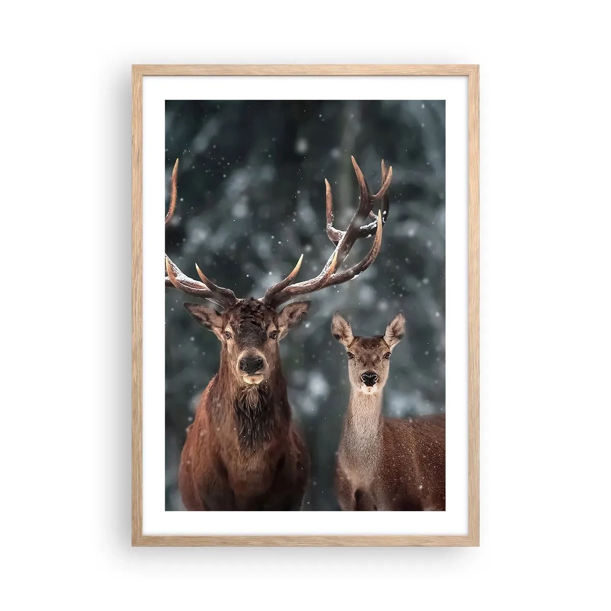 Plakat i ramme af lyst egetræ - Skovens herre og hans kone - 50x70 cm