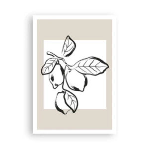 Plakat - Hvor citronen modner... - 70x100 cm