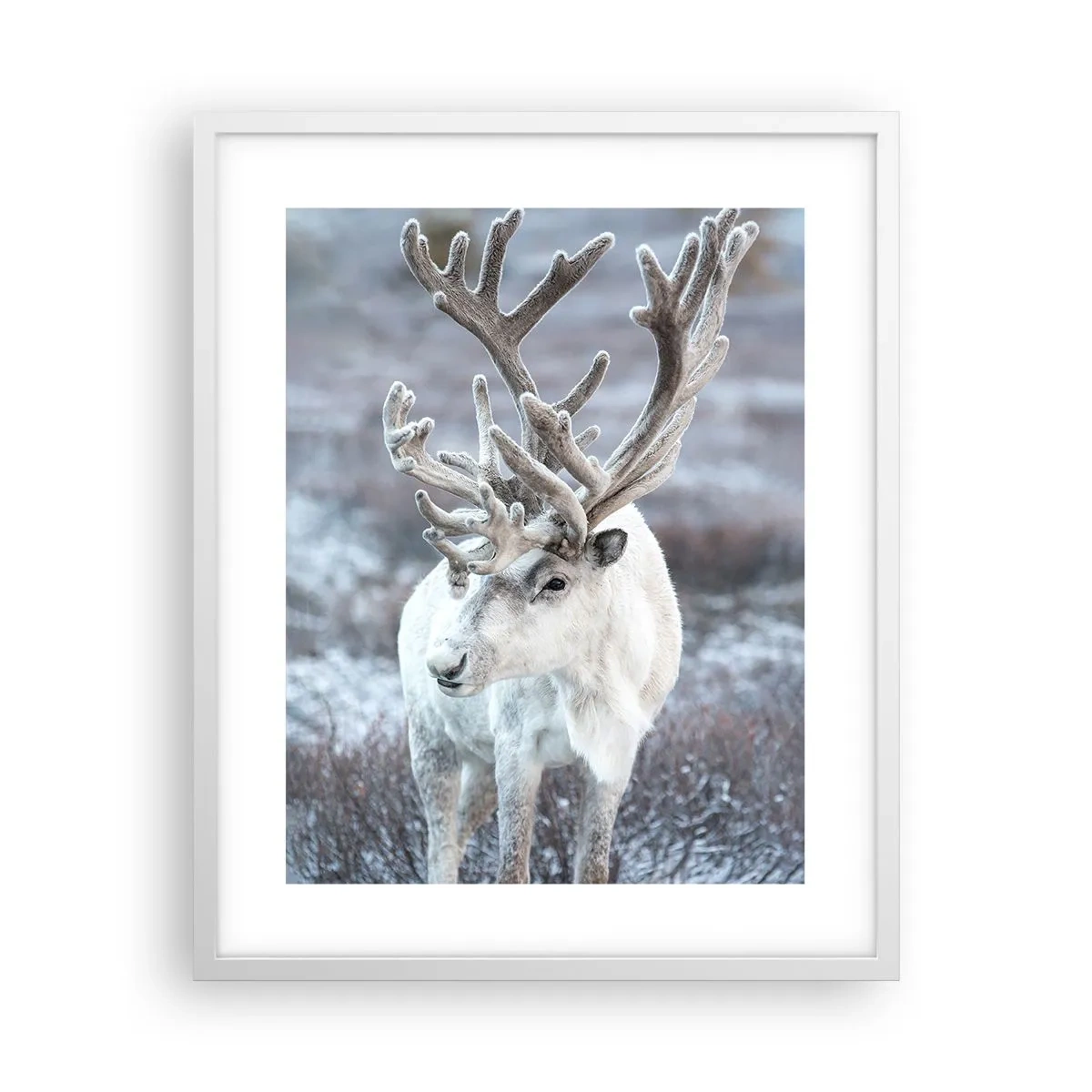 Plakat i hvid ramme - Portræt i solen - 40x50 cm