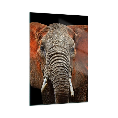 Billede på glas - Jeg er vild, er du? - 50x70 cm