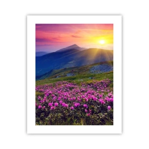 Plakat - ... Og rundt omkring dufter det af fyrretræer og krydderurter - 40x50 cm
