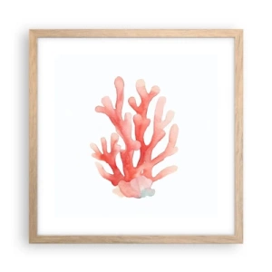 Plakat i ramme af lyst egetræ - Farven koral - 40x40 cm